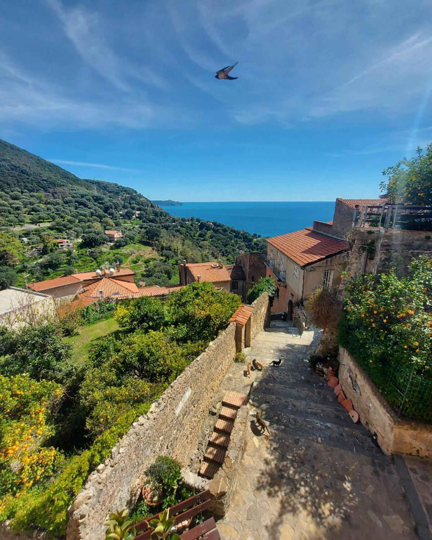 La Casa Sul Blu Albergo Diffuso Pisciotta Exterior foto